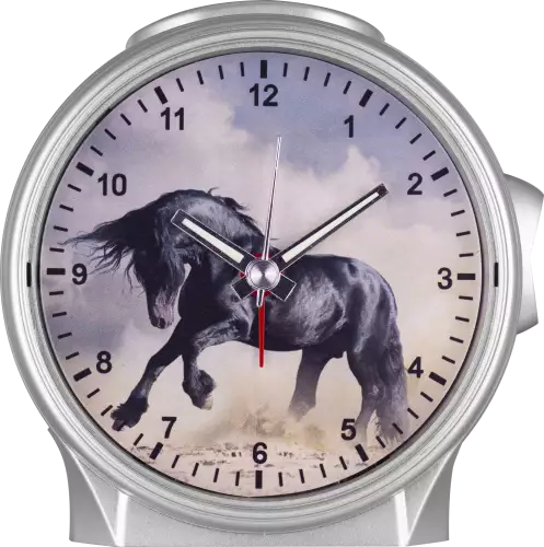 Kinderwecker Eurotime